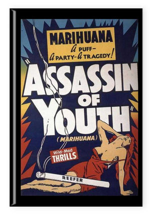 Magnet (2"x3"): Marihuana Assassin of Youth 2
