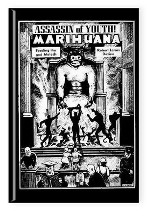 Magnet (2"x3"): Marijuana Assassin of Youth