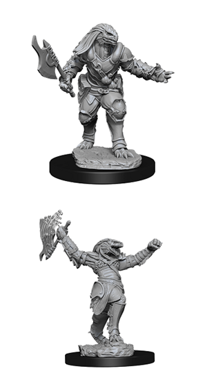 Dungeons & Dragons: Nolzur's Marvelous Unpainted Miniatures - W11 FEMALE DRAGONBORN PALADIN