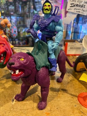 Masters of the Universe: Origins Skeletor & Panthor Loose