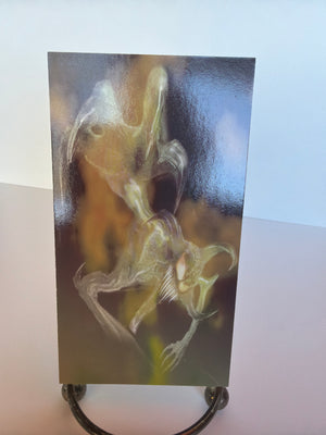 Spawn Wildstorm Widevision 1995 Trading Cards Promo P2