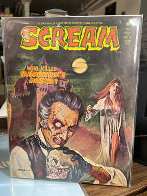 Scream #6 (1973 Skywald Horror Comic/Magazine)