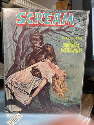 Scream #4 (1973 Skywald Horror Comic/Magazine)