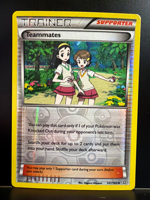 Pokemon : XY - Primal Clash Teammates (Foil)