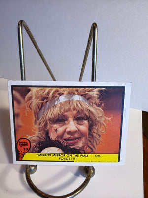 Gong Show Trading Cards (1977 Fleer) #19