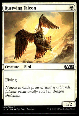 MTG: Rustwing Falcon Core Set 2019 #36 Common