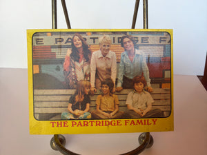 Partridge Family Trading Cards (1971 Topps) #13