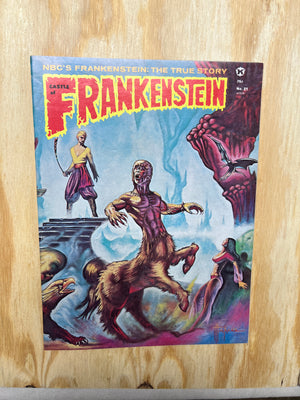 Castle of Frankenstein #21 (1962-1975 Gothic Castle Publishing)