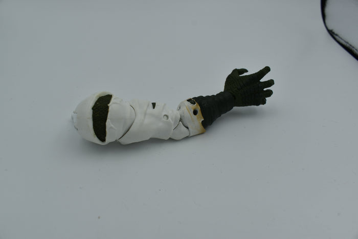 LIZARD : BAF Right Arm