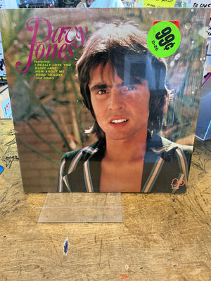 Davy Jones : Solo LP (Cutout)