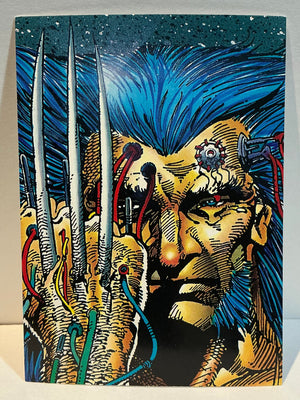 Wolverine : From Then 'Till Now (1992 Trading Card) : #19 "Claws"