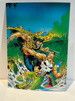 Wolverine : From Then 'Till Now (1992 Trading Card) : #67 Punisher