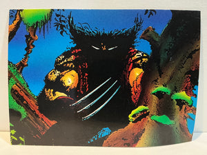 Wolverine : From Then 'Till Now (1992 Trading Card) : #17 Ferocious