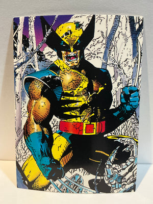 Wolverine : From Then 'Till Now (1992 Trading Card) : #22 Discipline