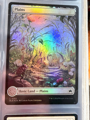 Magic The Gathering: Bloomburrow - Plains (Land) Full Art Foil