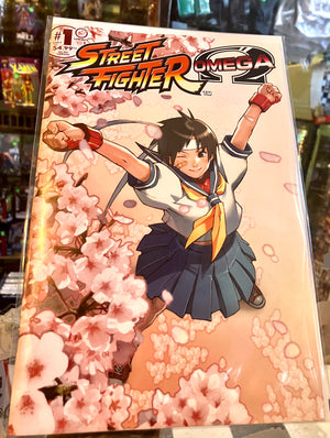 STREET FIGHTER: OMEGA #1 Cover E Secret Variant
