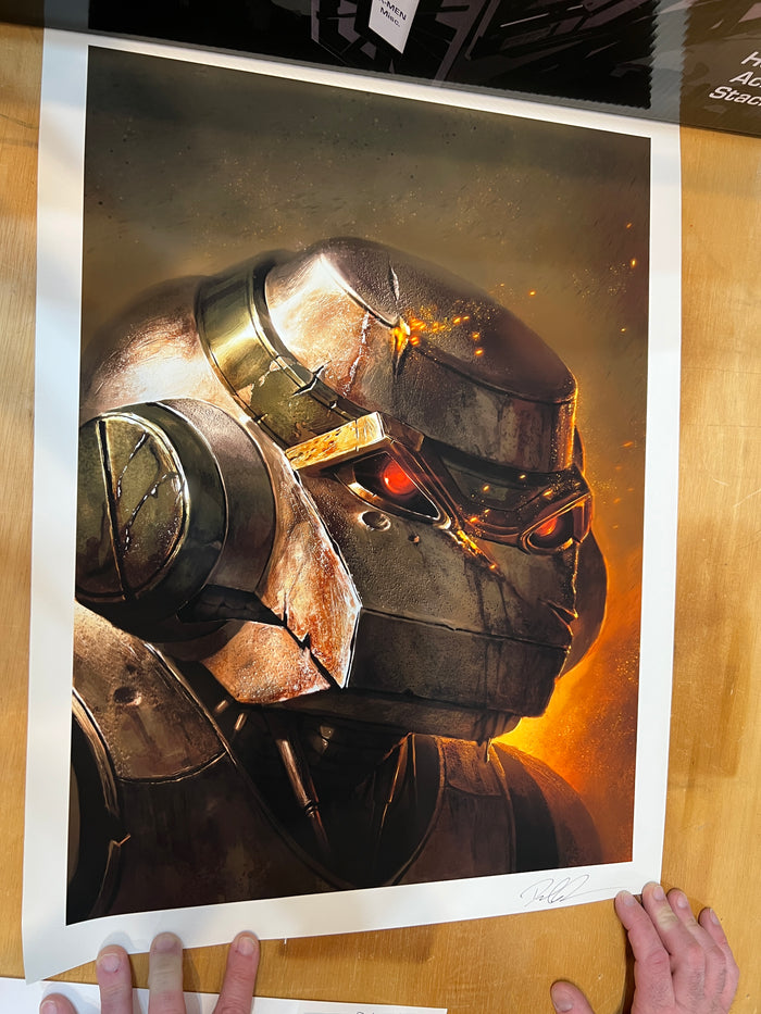 Dave Rapoza Teenage Mutant Ninja Turtles Art Print : Metal Head