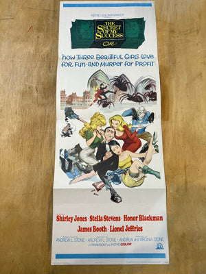 The Secret of My Success: Theatrical Insert Poster Vintage / Folded FRANK FRAZETTA!