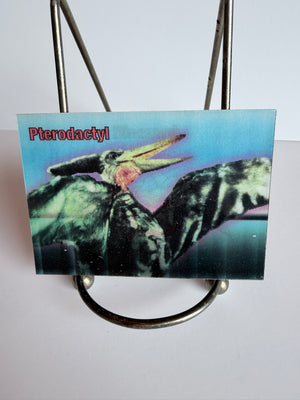 Mighty Morphin' Power Rangers Trading Cards Series 2 : Lenticular Magic Morphers Card #6