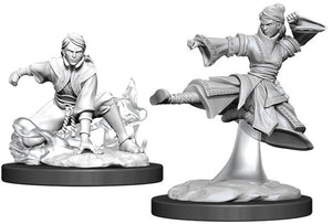 DnD Nolzur's Marvelous Unpainted Minis: Female Human Monk
