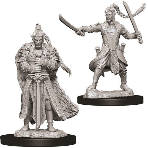 D&D Nolzur's Marvelous Unpainted Minis: W9 Male Elf Paladin