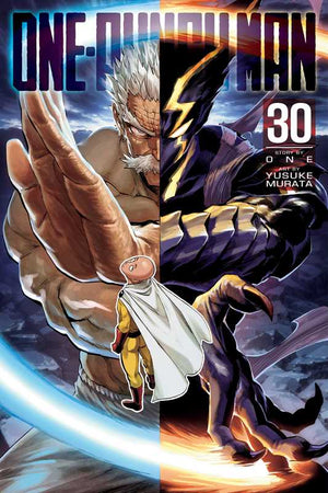 One-Punch Man, Vol. 30 by ONE TP