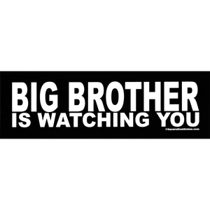 Sticker: Big Brother 1984 Anti Government Protest Book (8.5" x 2.75")