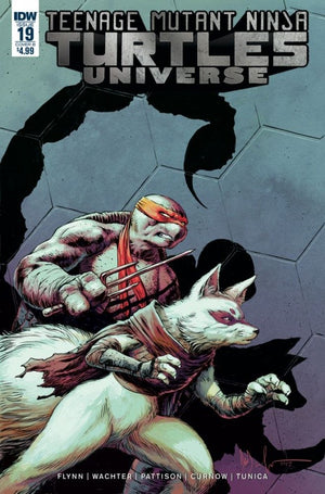 Teenage Mutant Ninja Turtles: Universe #19 Cover B Wachter
