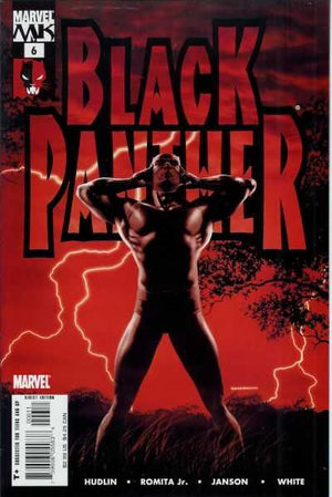 Black Panther (2005 3rd Series) #6