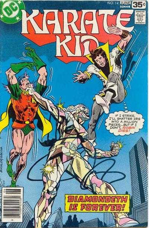 Karate Kid #14 (1976 DC 1st Series)