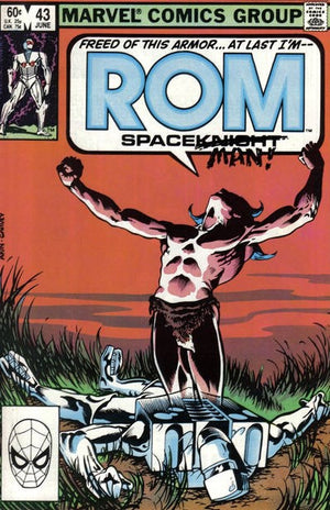 Rom #43