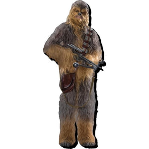 Funky Chunky Magnets: Chewbacca