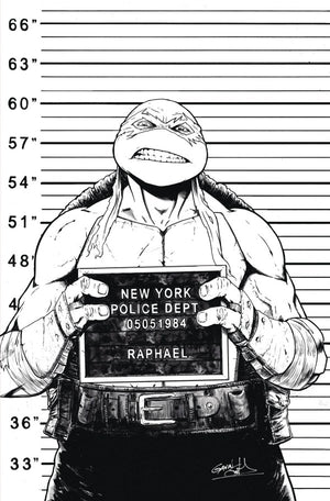 Teenage Mutant Ninja Turtles #141 Cover RI 1:25 Incentive Gavin Smith B&W Variant