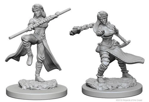 DnD Nolzur's Marvelous Unpainted Minis: Human Monk