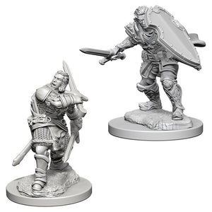 DnD Nolzur's Marvelous Unpainted Minis: Male Human Paladin