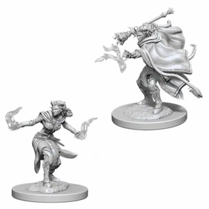 DnD Nolzur's Marvelous Unpainted Minis: Female Tiefling Warlock