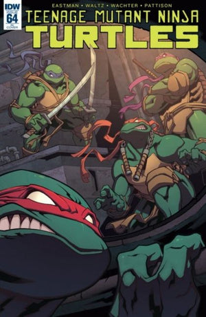 Teenage Mutant Ninja Turtles #64 Retailer Incentive Variant (IDW Series)