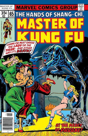 Master of Kung Fu #65