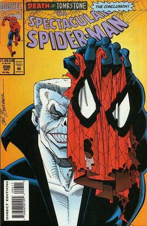 Peter Parker The Spectacular Spider-Man #206