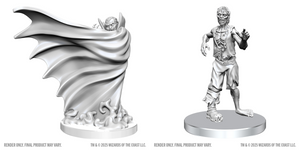 Dungeons & Dragons (DND): Nolzur`s Marvelous Unpainted Miniatures - W28 Classic Vampire & Classic Zombie