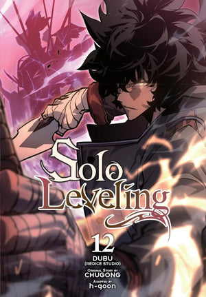SOLO LEVELING VOL 12 GN TP (MR)