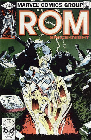 Rom #8