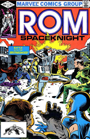 Rom #31