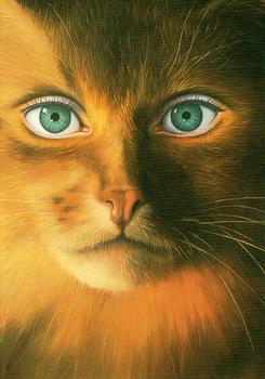 Beyond Bizarre : Jim Warren 1993 Trading Card Set  #65 - Cat Woman