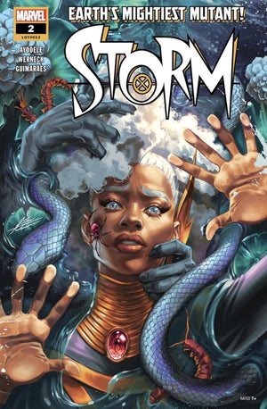 STORM #2 (2024)