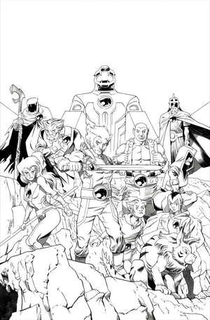THUNDERCATS #25 CVR M INC 1:7 DECLAN SHALVEY LINE ART VIRGIN VAR