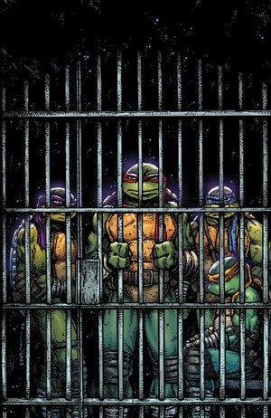 Teenage Mutant Ninja Turtles #11 (2025) Variant RI (10) (Eastman Full Art)