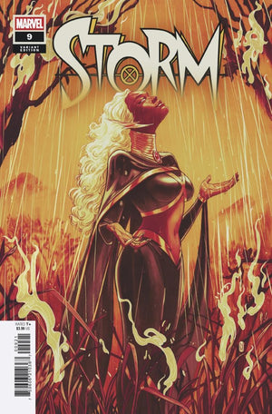 STORM #9 (2025) NIMIT MALAVIA VARIANT