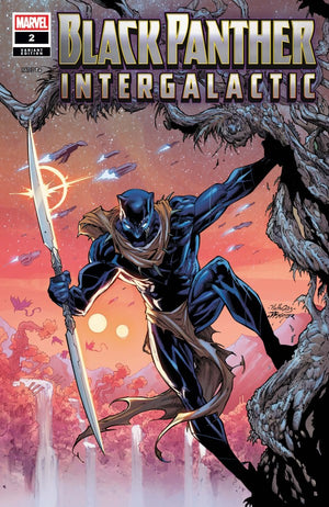 BLACK PANTHER: INTERGALACTIC #2 NETHO DIAZ INC 1:25 VARIANT