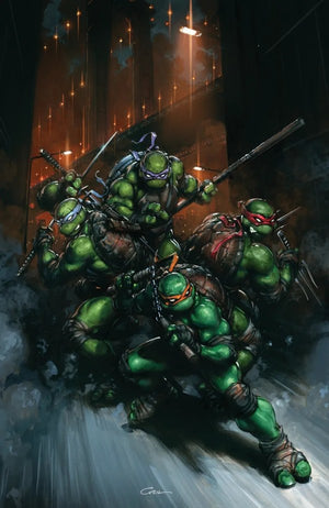 Teenage Mutant Ninja Turtles #13 (2025) Variant RI (50) (Crain Full Art)